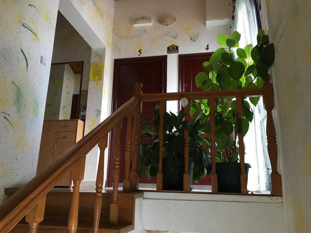 Apartments Upitnik Херцег Нови Екстериор снимка