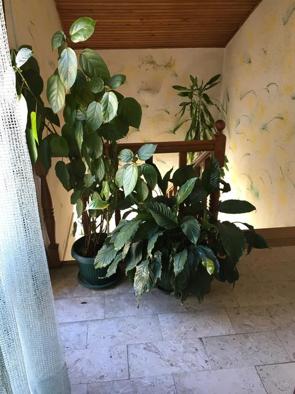 Apartments Upitnik Херцег Нови Екстериор снимка